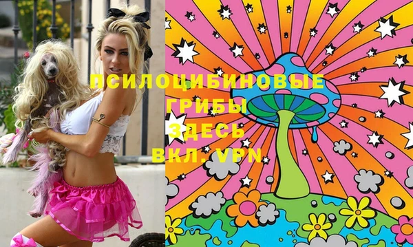 MDMA Premium VHQ Алексеевка