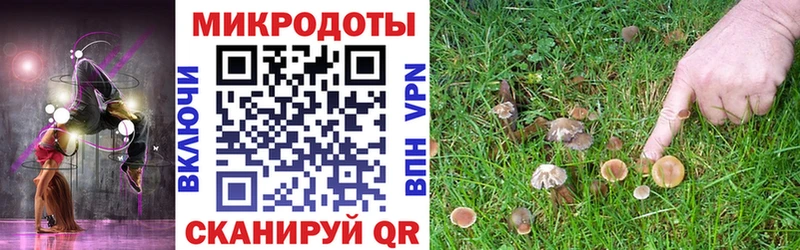 Псилоцибиновые грибы MAGIC MUSHROOMS купить сайты Порхов